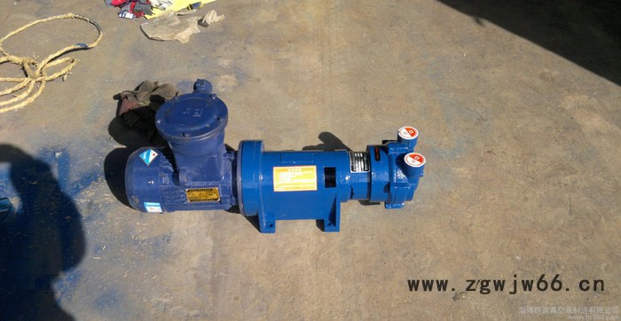 水环式真空泵2BV6-061(304不锈钢材质，防爆电机)