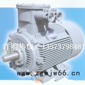 (YB3-315S-6 75kW 6极) 防爆电机 高效节能图2