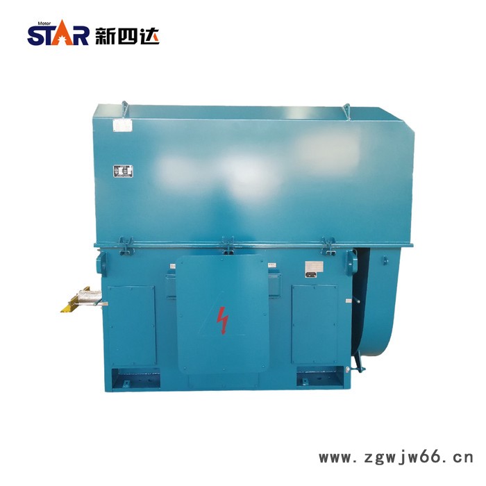 新四达YKK6304-10-1000KW 10KV三相异步高压电动机 高压电机图1