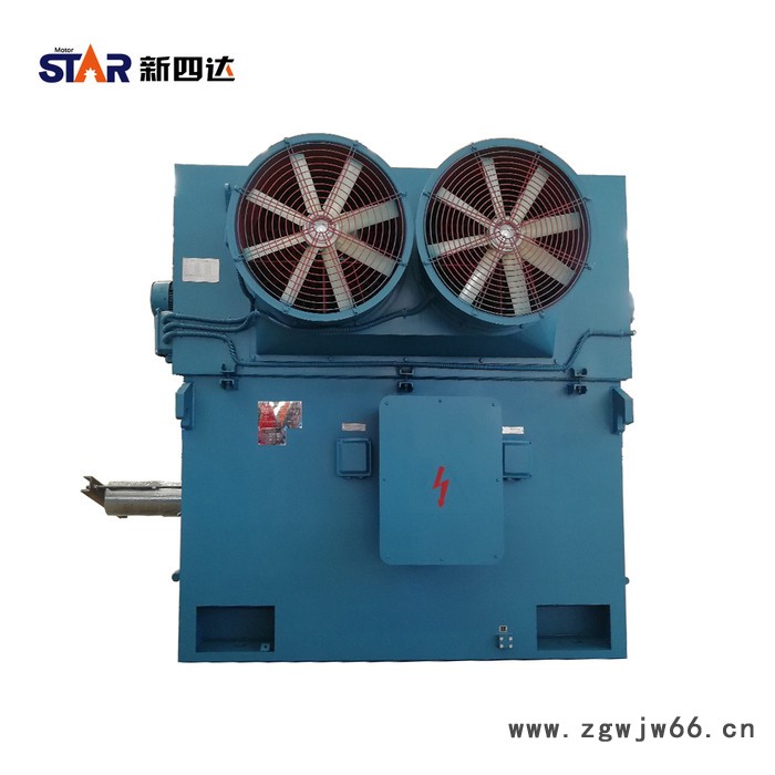新四达YPKK355KW 6极 6000V高压变频电机 YPKK变频电机 高压电机图4