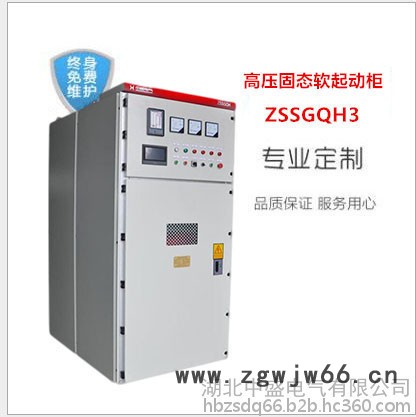 湖北中盛ZSSGQH高压电机软启柜厂家供应  采购高压晶闸管启动柜图3