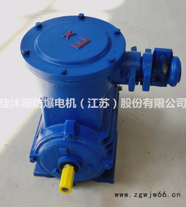 佳沐斯隔爆型三相异步电动机YBX3-200L2-6 22KW立式卧式高效节能防爆电机图2