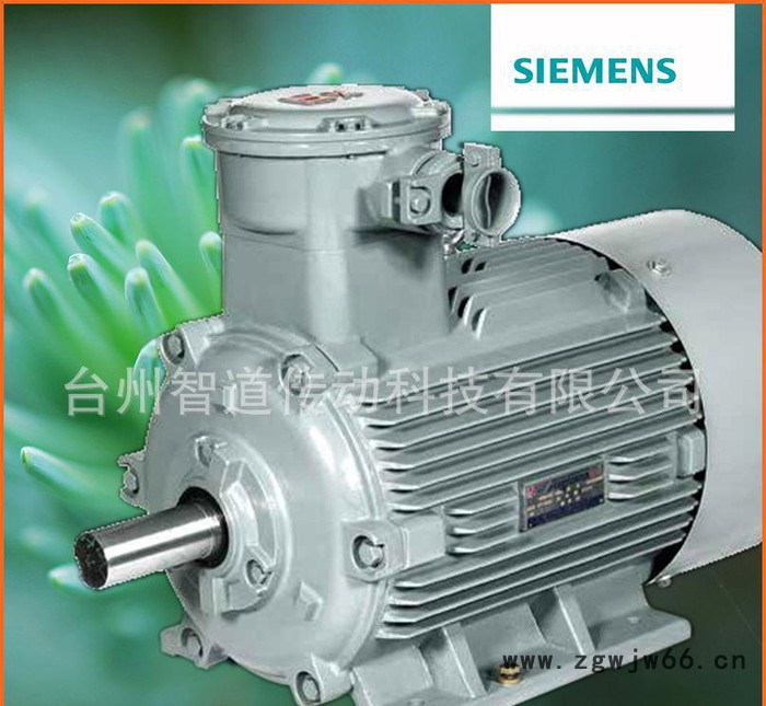 Siemens/西门子防爆电机1MT0 2-75KW|西门子图2