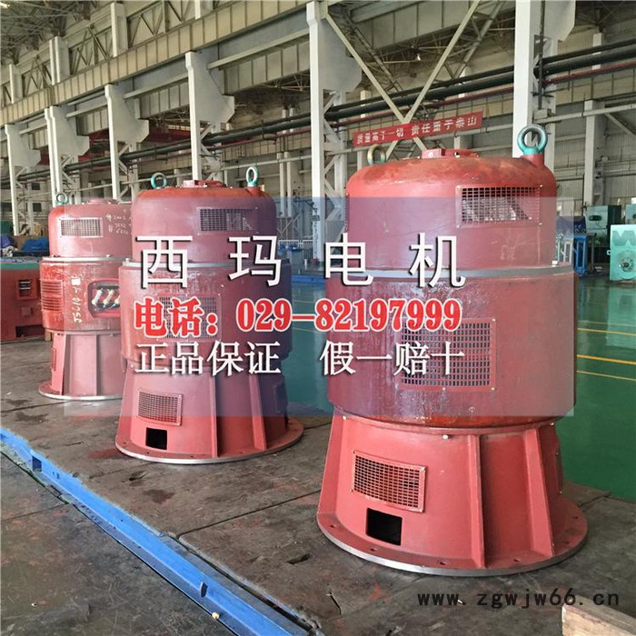 TK4900-18/2600 4900KW 6000V同步高压电机保养图2