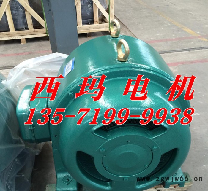 电机修理  西玛牌JS系列高压电机JS157-8 320KW 6KV电动机图2