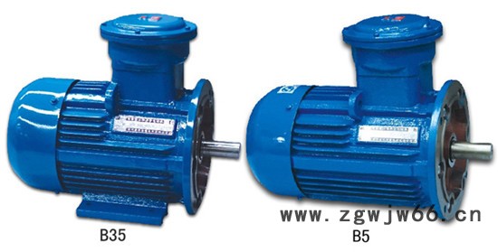 上海防爆电机 上海防爆电机厂家图2