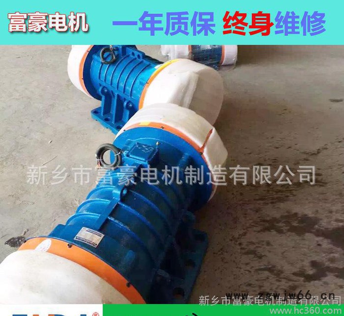 直销VB-1601108-W振动电机 矿山设备洗煤筛分振动专图2