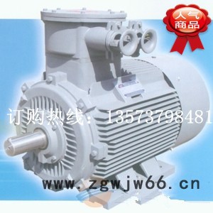 (YB3-160L-2 18.5kW 2极) 防爆电机 高效图2