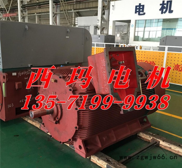 YB2-5004-2 800KW 10KV ExdⅡBT4 Gb防爆高压电机图2