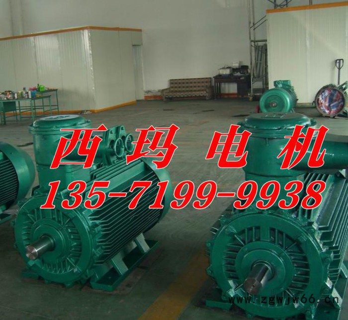 YB2-5004-2 800KW 10KV ExdⅡBT4 Gb防爆高压电机图3