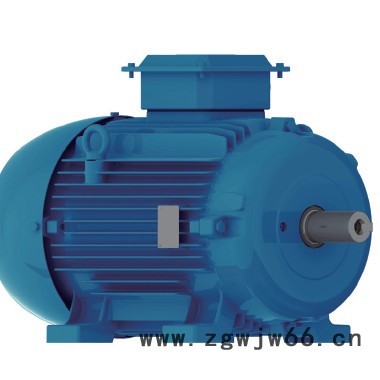 WEG（万高）三相异步电机（高压电机、低压电机）、同步电机图3
