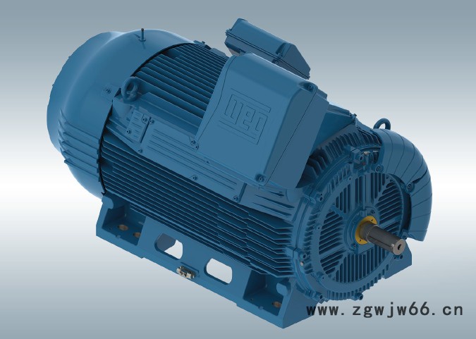 WEG（万高）三相异步电机（高压电机、低压电机）、同步电机图4