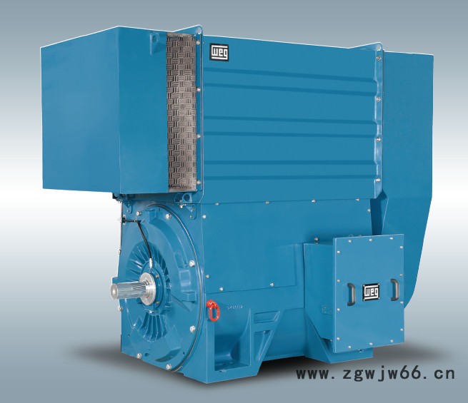 WEG（万高）三相异步电机（高压电机、低压电机）、同步电机图2