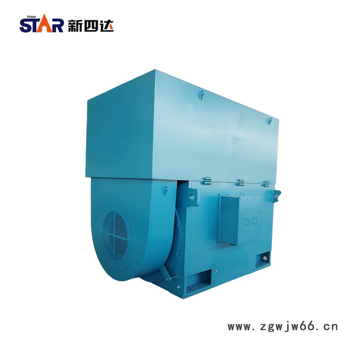 新四达YKK5002-10-220KW 10KV 三相异步高压电动机  高压电机图3