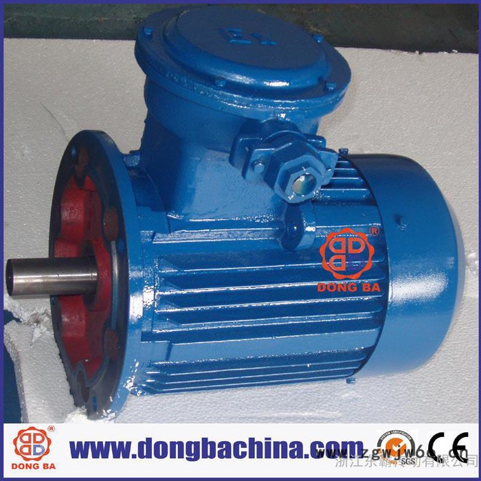 供应高品质电机，防爆电机图2