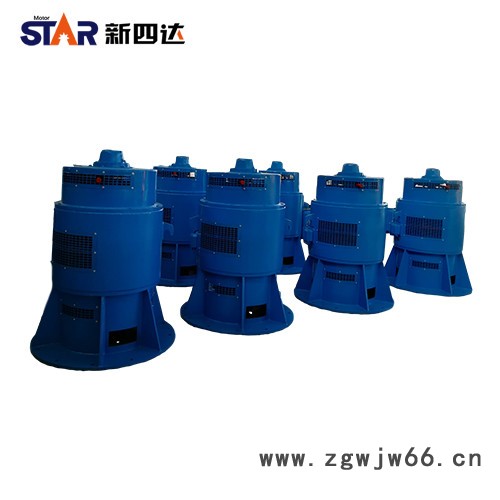 新四达YSL-15-12-330KW 6000V 系列轴流泵专用立式三相异步高压电动机 高压电机 高压电机图3