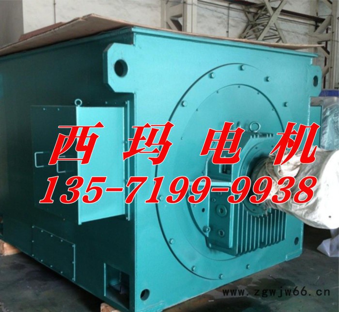 Y系列高压电机Y4502-6 280KW 西安泰富西玛电机图2