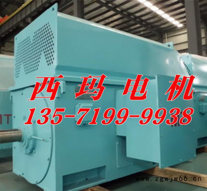 Y系列高压电机Y4502-6 280KW 西安泰富西玛电机图3