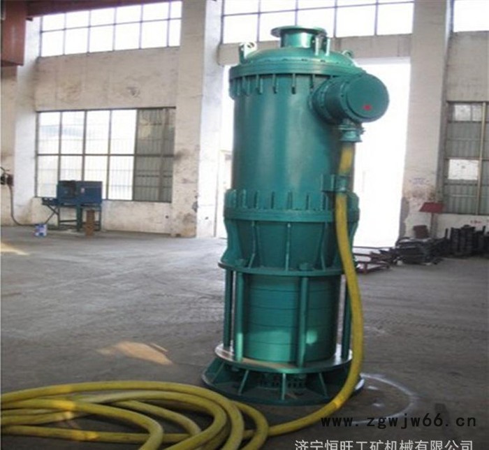 防爆电机水泵BQS20-65-11  **高效矿用防爆潜水泵图3