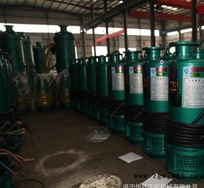 防爆电机水泵BQS20-65-11  **高效矿用防爆潜水泵图2