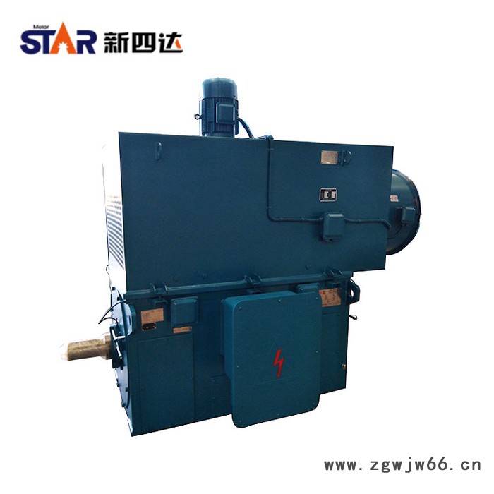 新四达YPKK1600KW 4极  6000V高压变频电机 YPKK变频电机 高压电机图3