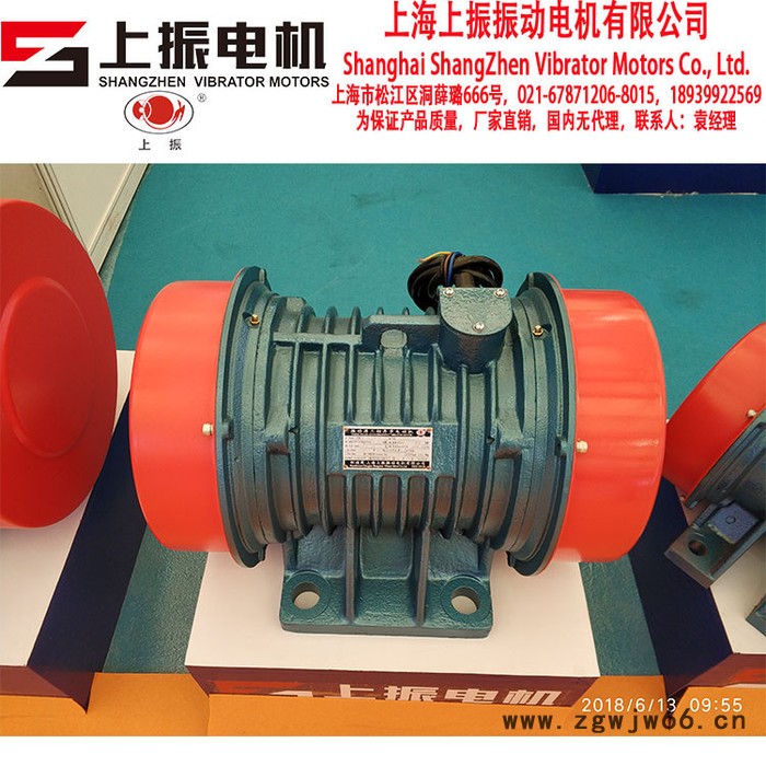 国内公司好振动电机6极970RPM**可定制上海上振品牌图8