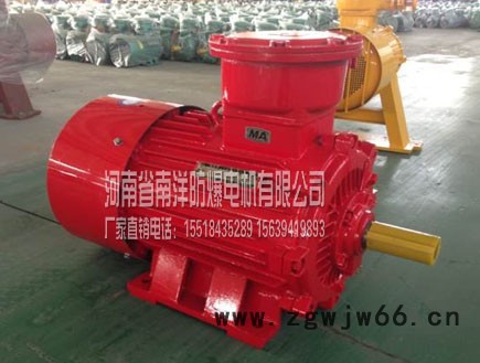 河南南洋防爆电机 特殊电机图6