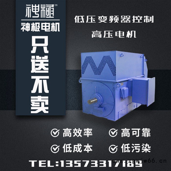 神极 高压电机 220KW YRWS450-4  节能电机 无刷电机图6
