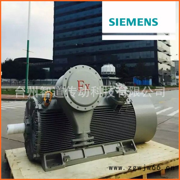 Siemens/西门子防爆电机1MT0 6-185KW|西门图2