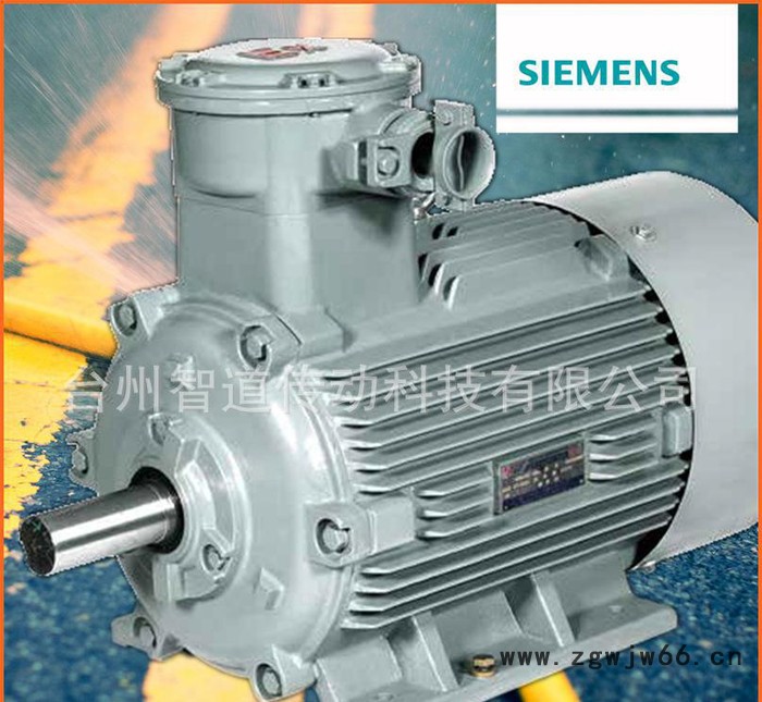 Siemens/西门子防爆电机1MT0 4-132KW|西门图2
