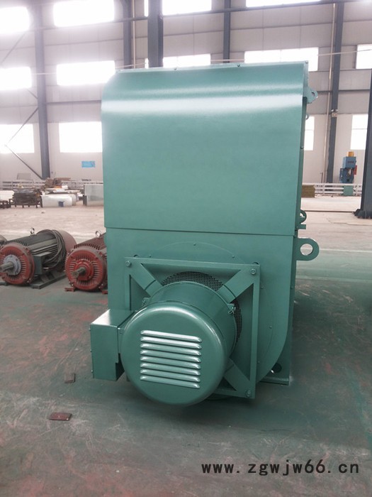 供应欧斯特YR1000-8/1180高压电机图1