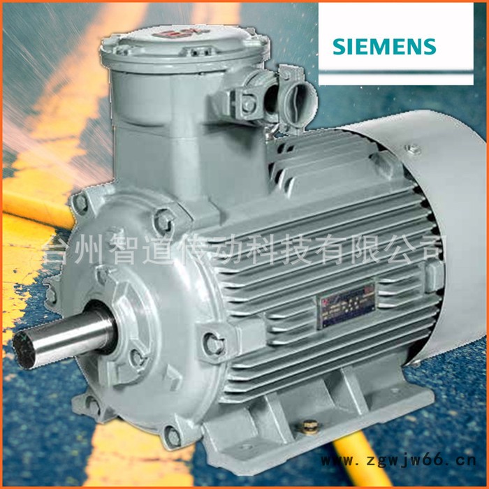 Siemens/西门子防爆电机1MT0 6-4KW|西门子贝图2