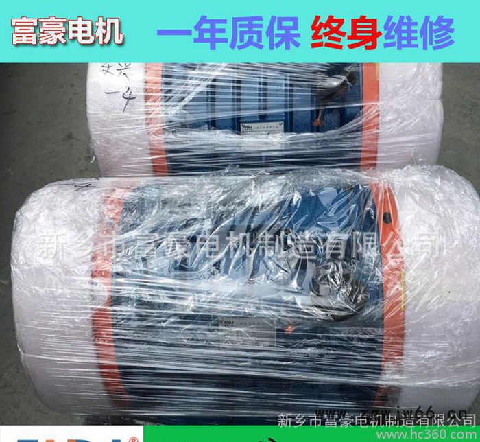 **VB-1801306-W振动电机 矿山设备洗煤筛分振动专图2