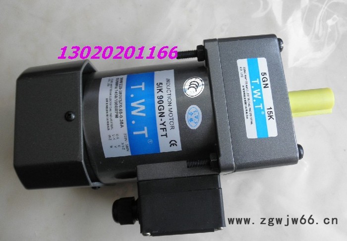 供应TWT东炜庭TWT25W防爆电机贴标电机4RK25GN-CT图2