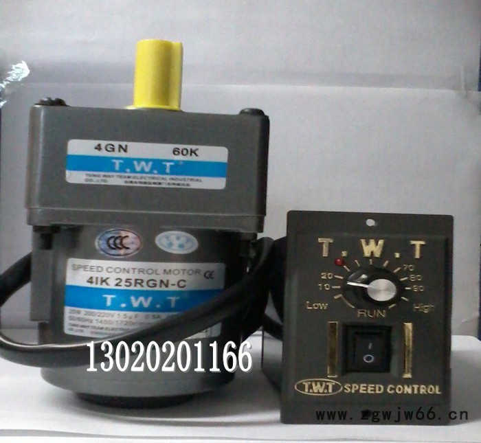供应TWT东炜庭TWT25W防爆电机贴标电机4RK25GN-CT