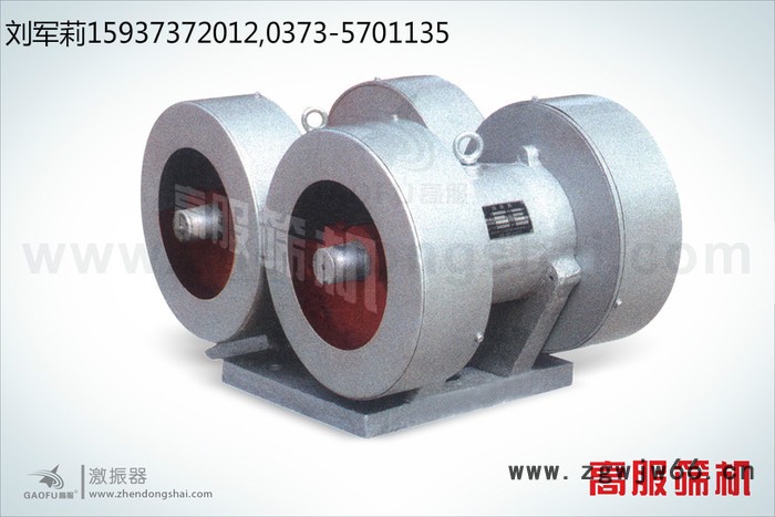 新乡高服振动筛振动源振动电机图3