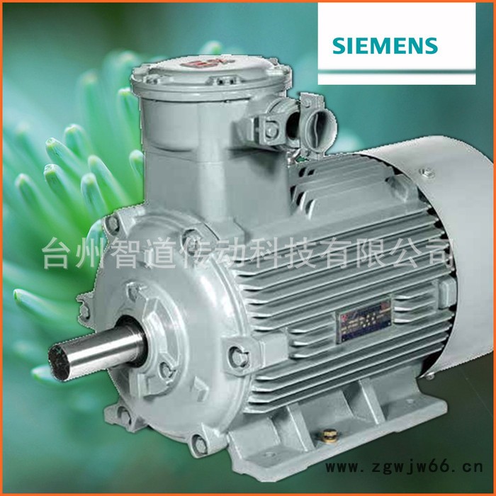 Siemens/西门子防爆电机1MT0 2-5.5KW|西门图2