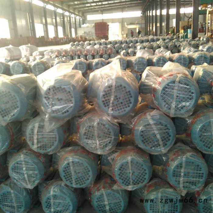 泽恩  YVP2变频电机   YKK高压电机   工业用 风机 煤矿化工用电机 品质保证图3