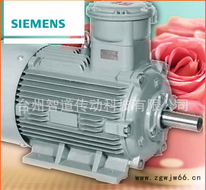 Siemens/西门子防爆电机1MT0 2-1.1KW|西门图2