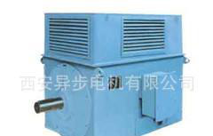 西安电机厂6KV Y系列Y5002-2 1250KW高压电机图2