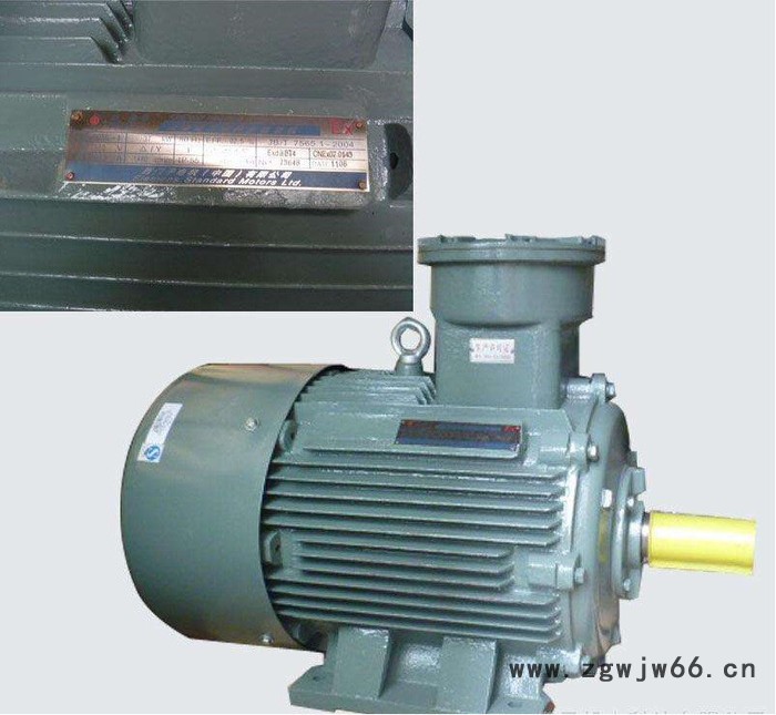 西门子贝得1MT0001防爆电机图3