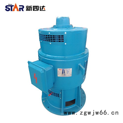 新四达YSL-15-8-380KW 6000V 系列轴流泵专用立式三相异步高压电动机 高压电机 高压电机图5