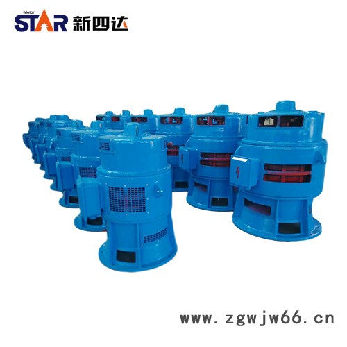 新四达YSL-15-8-380KW 6000V 系列轴流泵专用立式三相异步高压电动机 高压电机 高压电机图2