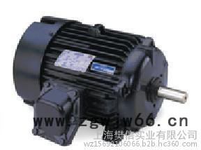 美国LEESON电机、LEESON马达、LEESON防爆电机、LEESON驱动器、LEESON电机调速控制器图2