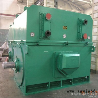 YKS7103-6  2800KW 6KV 高压电机 西玛电机 西安西玛电机 电机