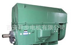 西安电机厂西玛电机Y系列Y5003-2 1400KW 6KV 高压电机图3
