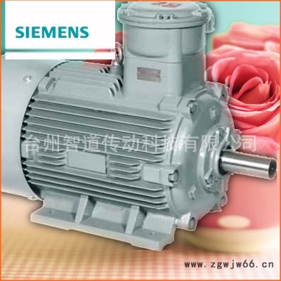 Siemens/西门子防爆电机1MT0 2-4KW|西门子贝