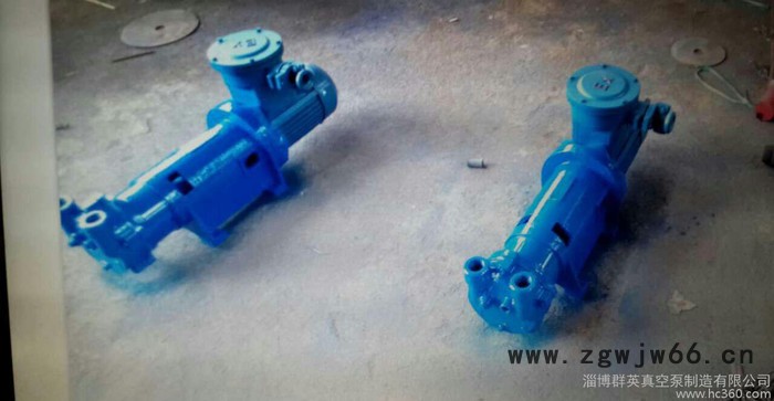 水环式真空泵2BV6-070(316不锈钢材质，防爆电机)图2