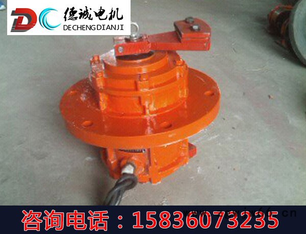 德诚电机LZF-6仓壁振动器0.22KW振动电机料仓堵料图4