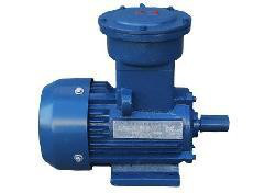 江苏新大力电机制造有限公司 防爆电机YB3-100L1-4-2.2KW三相异步隔爆型电动机380V50HZ铜芯图2